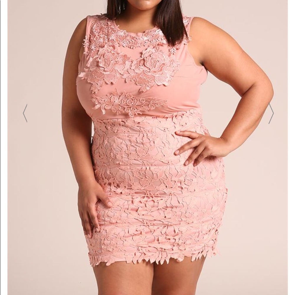 Plus size 2x floral lace embroidered bodycon dress